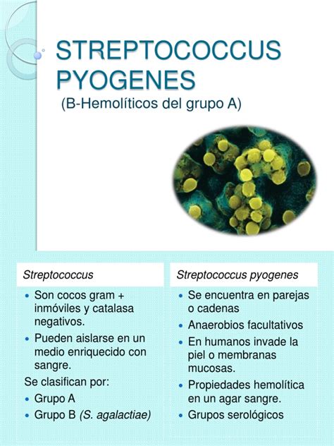 estreptococo pyogenes tratamiento